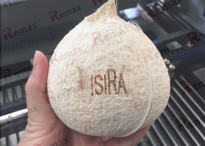 coconut laser cutting and engraving machine